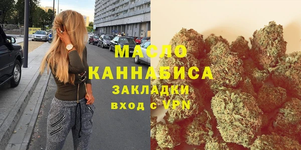 дмт Краснослободск