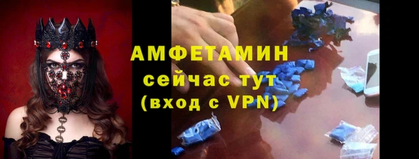 дмт Краснослободск