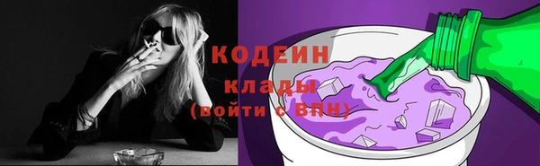 дмт Краснослободск