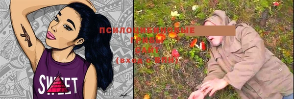 дмт Краснослободск