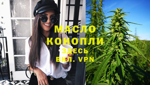 дмт Краснослободск