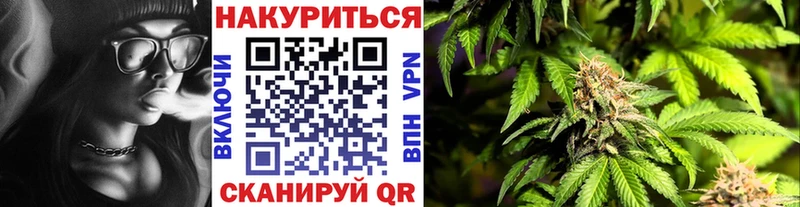 Конопля гибрид Усинск